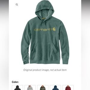 CARHARTT FORCE® DELMONT SIGNATURE GRAPHIC HOODED SWEATSHIRT